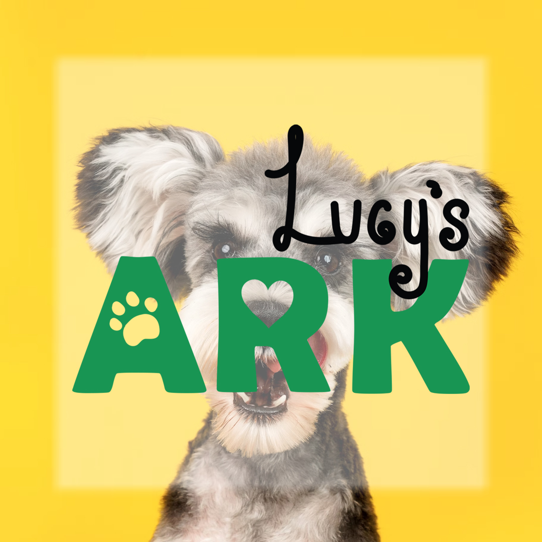 Lucy's Ark designed logo with dog in the background